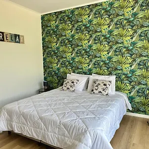 Apartment Oasis - Portugal